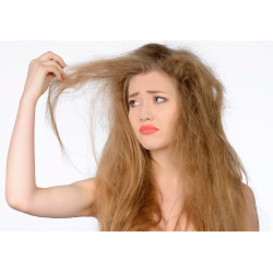 Shampoo for Dry Hair 
