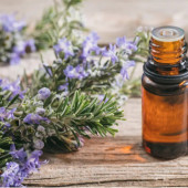 Essential Oils (3)