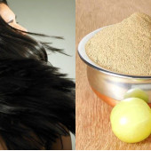 Treating Powders (0)