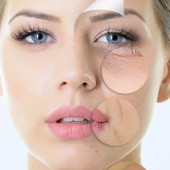 Anti-Age Face Cream (4)