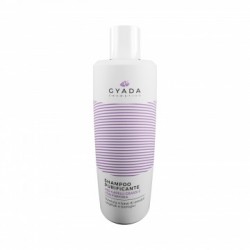 Shampoo Purificante: per capelli grassi e con forfora 250ml