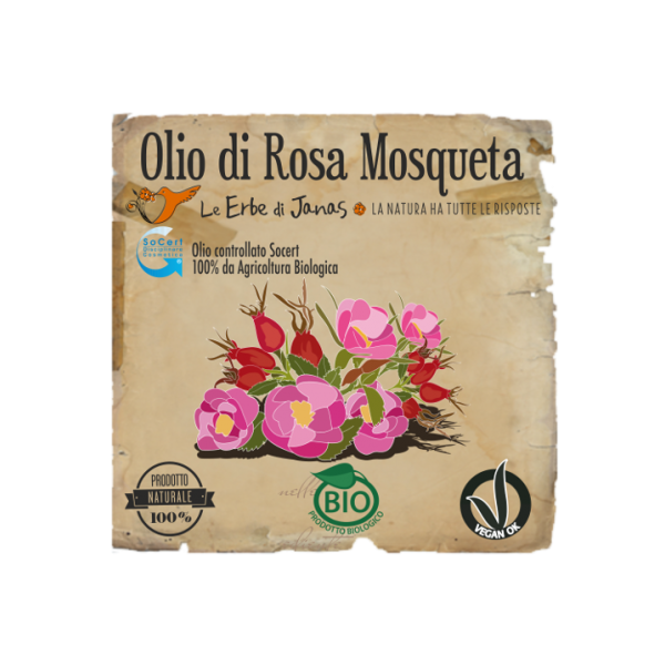 ROSA MOSQUETA OIL