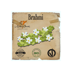 BRAHMI