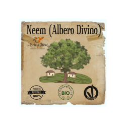  NEEM